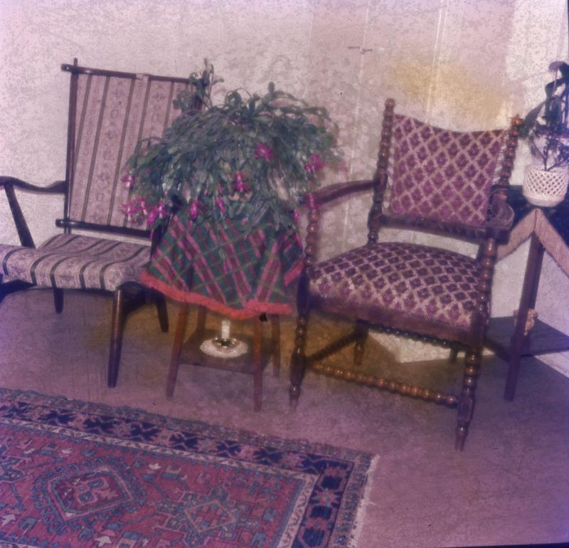 Foto 2139078078